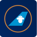 China Southern logo