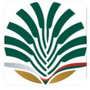 Madagascar Airlines logo